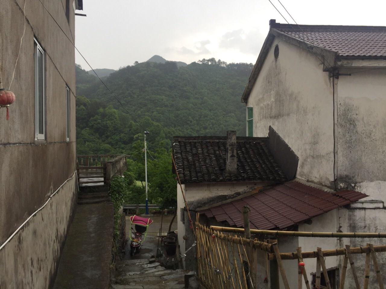 穿越火线生化萌娃视频免费辅助工具下载安装手机版